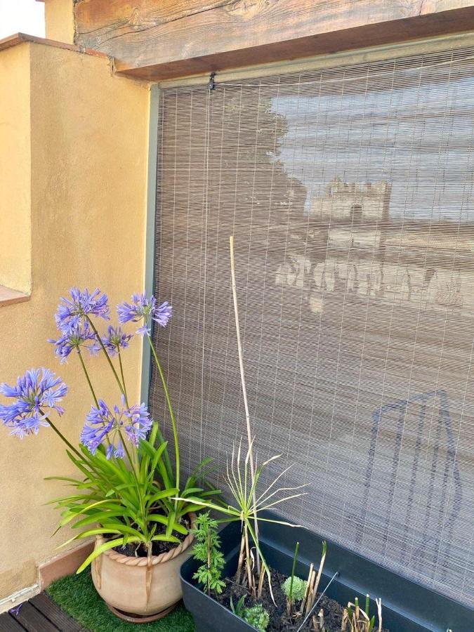 Tresors De La Cathedrale, Maison De Ville Sur 4 Niveaux Narbonne Bagian luar foto